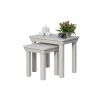 Toulouse Grey Painted Assembled Nest Of 2 Tables - SUMMER SALE - 10