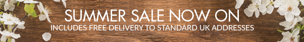 Summer Sale Now On